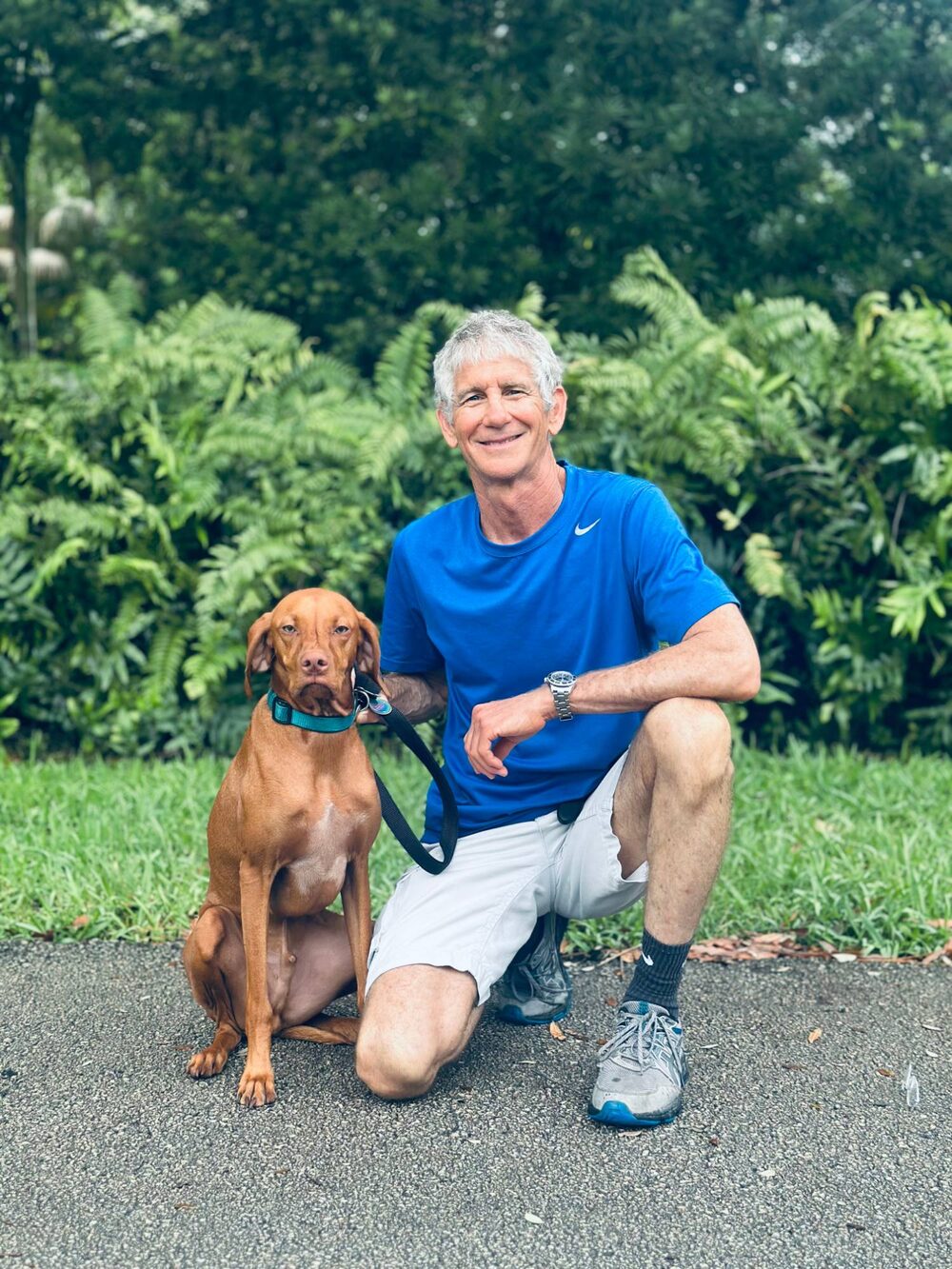 Andrew kneeling beside a Vizsla on a leafy neighborhood path